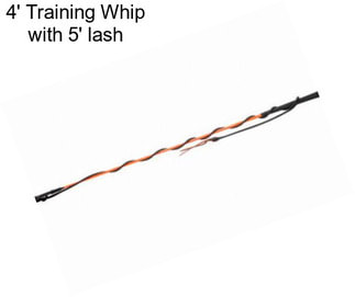 4\' Training Whip with 5\' lash