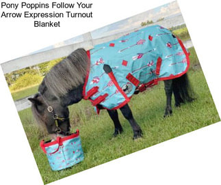 Pony Poppins \