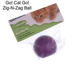 Go! Cat Go! Zig-N-Zag Ball