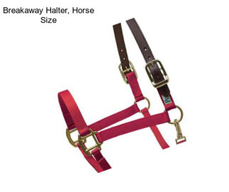 Breakaway Halter, Horse Size