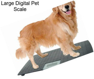 Large Digital Pet Scale