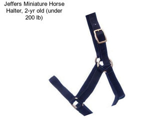 Jeffers Miniature Horse Halter, 2-yr old (under 200 lb)