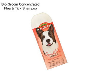 Bio-Groom Concentrated Flea & Tick Shampoo