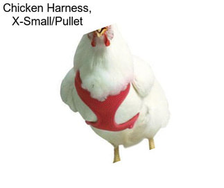 Chicken Harness, X-Small/Pullet