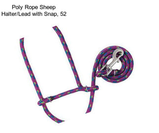 Poly Rope Sheep Halter/Lead with Snap, 52\