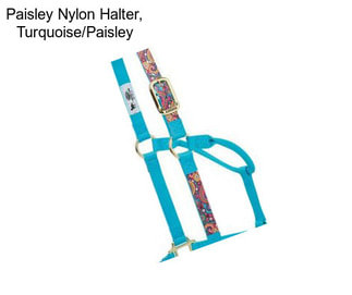 Paisley Nylon Halter, Turquoise/Paisley