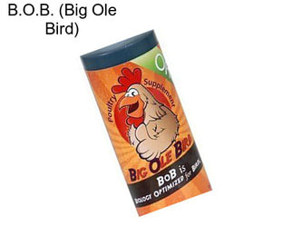 B.O.B. (Big Ole Bird)