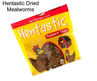 Hentastic Dried Mealworms