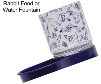 Rabbit Food or Water Fountain