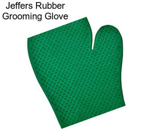 Jeffers Rubber Grooming Glove