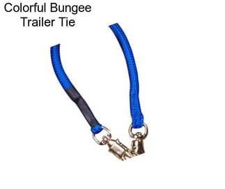 Colorful Bungee Trailer Tie