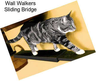 Wall Walkers Sliding Bridge