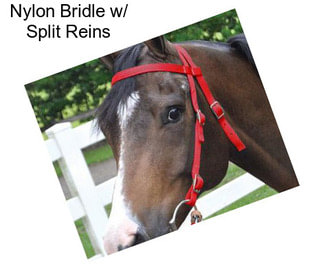 Nylon Bridle w/ Split Reins