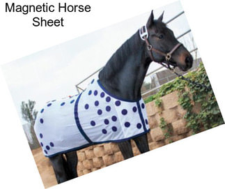 Magnetic Horse Sheet