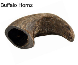 Buffalo Hornz