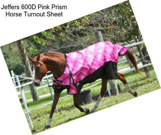 Jeffers 600D Pink Prism Horse Turnout Sheet