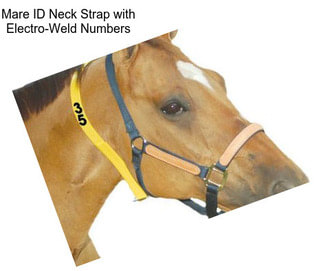 Mare ID Neck Strap with Electro-Weld Numbers