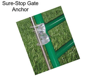 Sure-Stop Gate Anchor