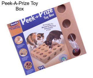 Peek-A-Prize Toy Box