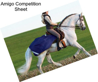 Amigo Competition Sheet