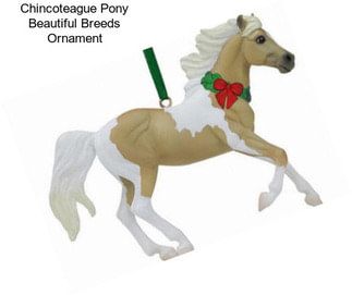 Chincoteague Pony Beautiful Breeds Ornament