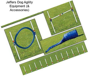 Jeffers Dog Agility Equipment (& Accessories)