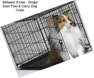 Midwest iCrate - Single Door Fold & Carry Dog Crate
