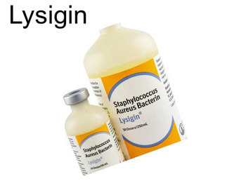 Lysigin