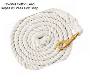 Colorful Cotton Lead Ropes w/Brass Bolt Snap