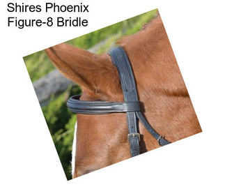 Shires Phoenix Figure-8 Bridle