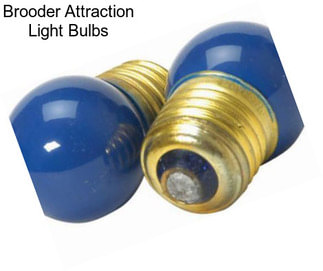 Brooder Attraction Light Bulbs