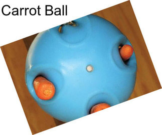 Carrot Ball