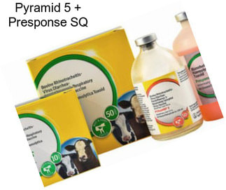 Pyramid 5 + Presponse SQ