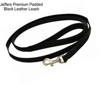 Jeffers Premium Padded Black Leather Leash