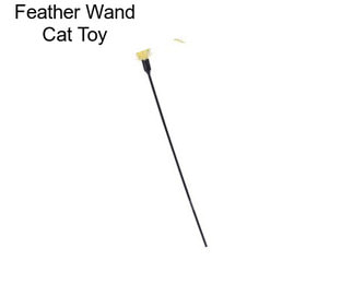 Feather Wand Cat Toy