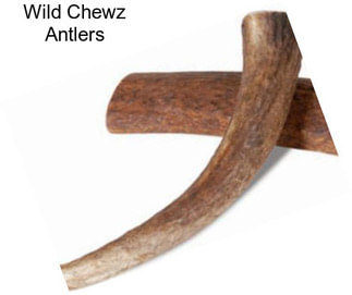 Wild Chewz Antlers