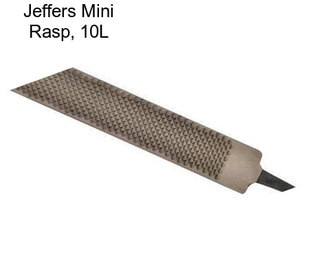 Jeffers Mini Rasp, 10\