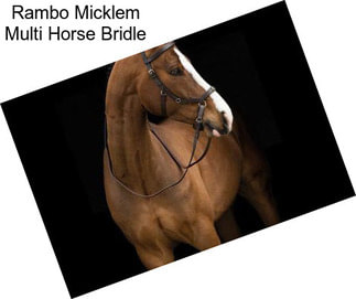 Rambo Micklem Multi Horse Bridle