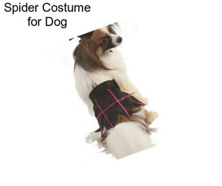 Spider Costume for Dog