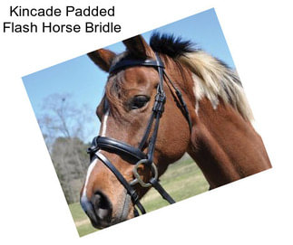 Kincade Padded Flash Horse Bridle