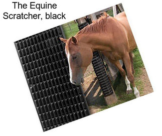 The Equine Scratcher, black