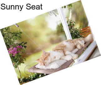 Sunny Seat