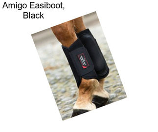 Amigo Easiboot, Black