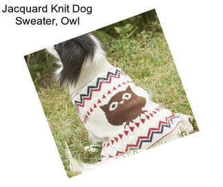 Jacquard Knit Dog Sweater, Owl
