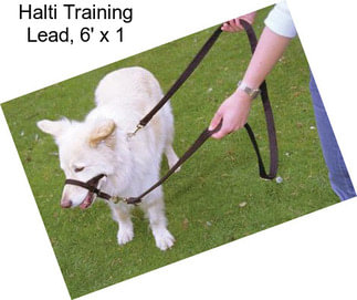 Halti Training Lead, 6\' x 1\