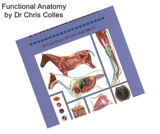 Functional Anatomy by Dr Chris Colles