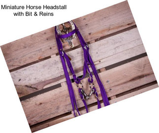 Miniature Horse Headstall with Bit & Reins