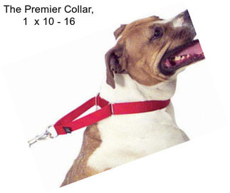 The Premier Collar, 1\