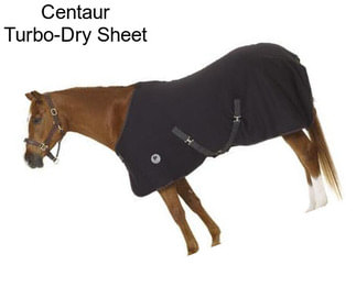 Centaur Turbo-Dry Sheet