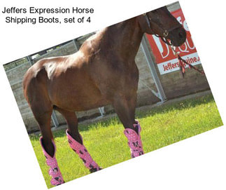 Jeffers Expression Horse Shipping Boots, set of 4
